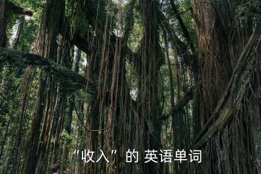 薪水英語,財(cái)政預(yù)算案2021】首次披露你的薪金計(jì)劃