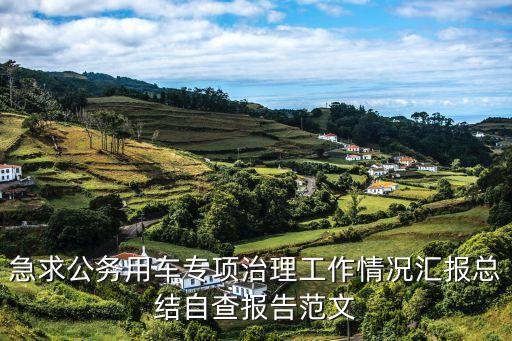 公務(wù)用車(chē)自查報(bào)告，公務(wù)用車(chē)網(wǎng)上辦公系統(tǒng)中查無(wú)此車(chē)是什么原因