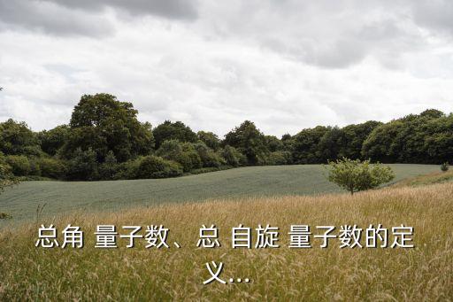 總角 量子數(shù)、總 自旋 量子數(shù)的定義…