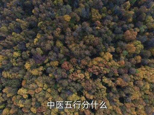 中醫(yī)五行，中醫(yī)五行是指什么