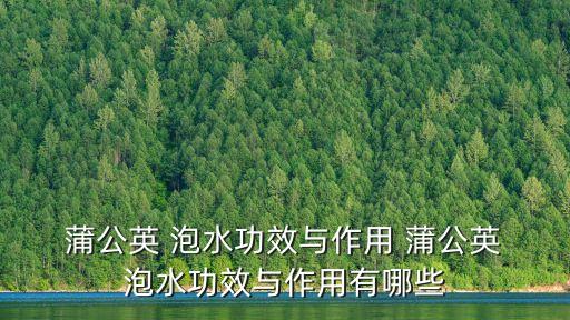 蒲公英泡水喝的功效,如何泡水喝?