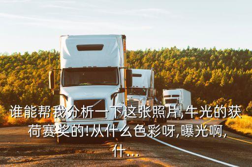 誰能幫我分析一下這張照片,牛光的獲 荷賽獎的!從什么色彩呀,曝光啊,什...