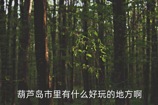 葫蘆島菊花島,七艘船要去菊花島一家樂價(jià)格不固定