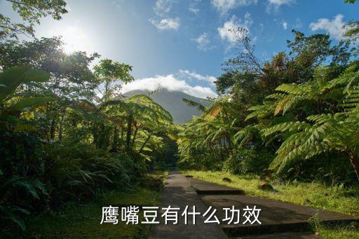 鷹嘴豆熱量,豆中之王鷹嘴豆營養豐富熱量低有益健康