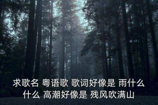 天空之城在哭泣，有一首民謠歌詞有一句是 獻(xiàn)給你的西班牙獻(xiàn)禮這是哪首歌呀  搜