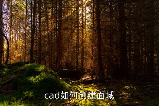 cad如何創(chuàng)建面域