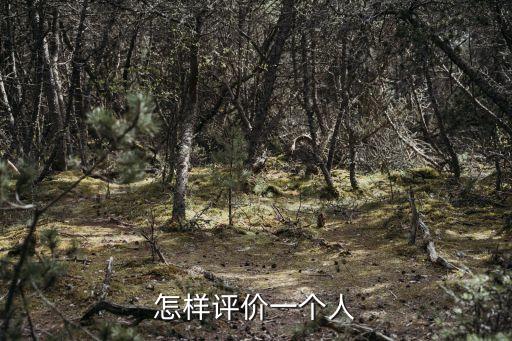 評(píng)價(jià)，怎樣評(píng)價(jià)一個(gè)人