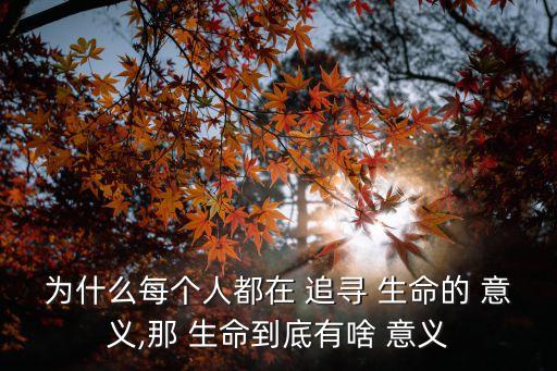 追尋生命的意義,生命的價值首先在于追求