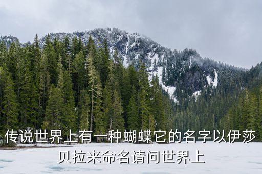 傳說(shuō)世界上有一種蝴蝶它的名字以伊莎貝拉來(lái)命名請(qǐng)問(wèn)世界上