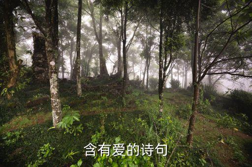 愛的詩，關于愛的古詩