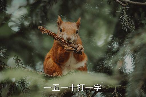 一五一十打一字