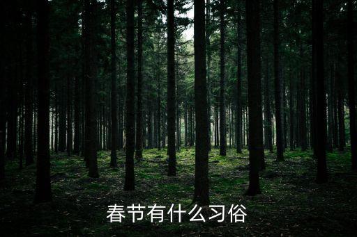 春節(jié)的，春節(jié)的特點(diǎn)是什么