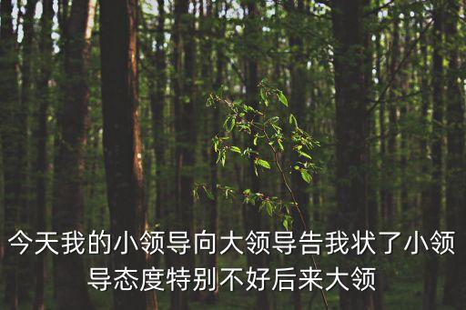 今天我的小領導向大領導告我狀了小領導態(tài)度特別不好后來大領