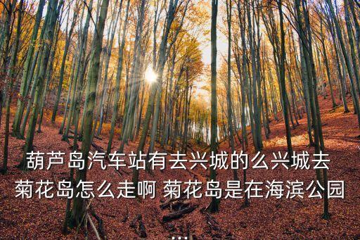  葫蘆島汽車站有去興城的么興城去 菊花島怎么走啊 菊花島是在海濱公園...