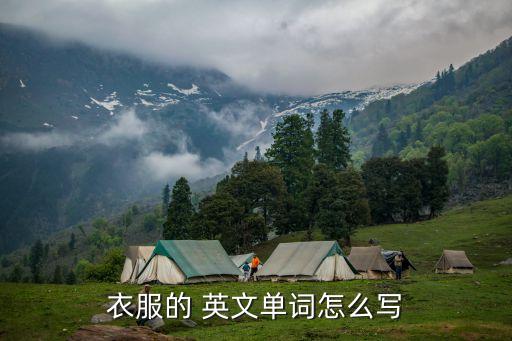 體恤衫的英文,武漢男孩穿防護服被醫生叔叔勸阻不要太久