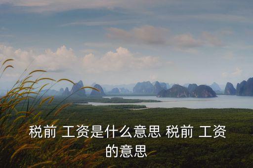  稅前 工資是什么意思 稅前 工資的意思