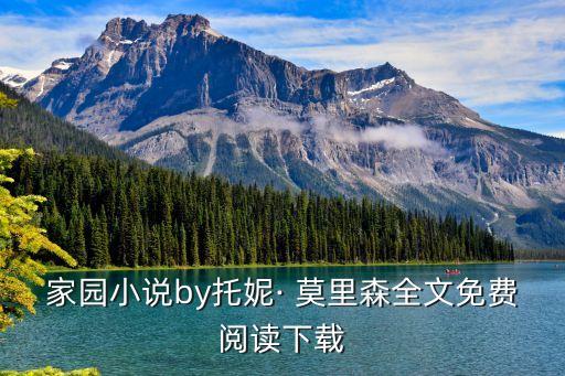托尼莫里森,武漢出現第一起確診病例