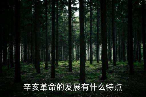 辛亥革命的發展有什么特點