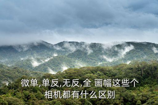  微單,單反,無反,全 畫幅這些個 相機都有什么區別