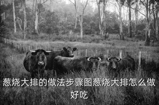 蔥燒大排，蔥燒大排的大排是什么