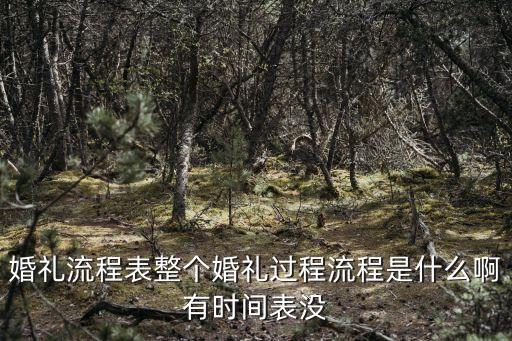 婚禮流程表，婚禮流程表整個(gè)婚禮過程流程是什么啊有時(shí)間表沒