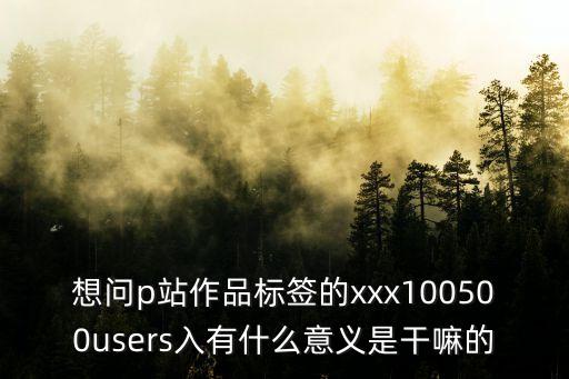 想問p站作品標簽的xxx100500users入有什么意義是干嘛的