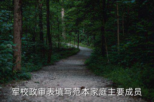 政審表模板，在職研究生政審表考研政審表能給個范文嗎