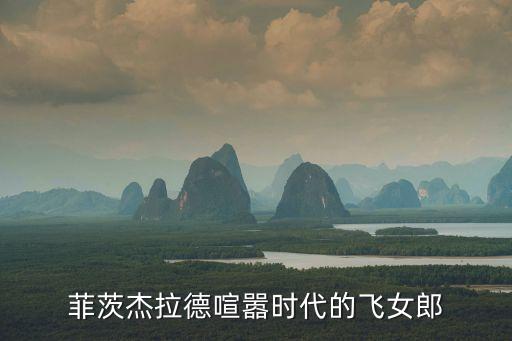菲茨杰拉德，菲茨杰拉德怎么死的