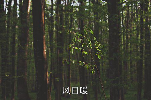 風日暖