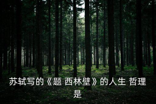 題西林壁的哲理,蘇軾題名生平西林wall哲理