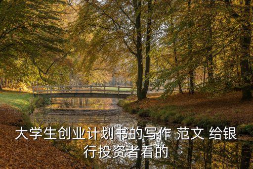 大學生創業計劃書的寫作 范文 給銀行投資者看的