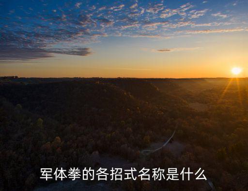 鞭拳,我國軍營開展軍事拳擊訓練展現戰斗力