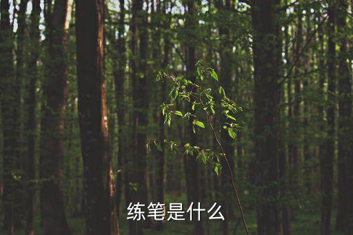 練筆，練筆是什么