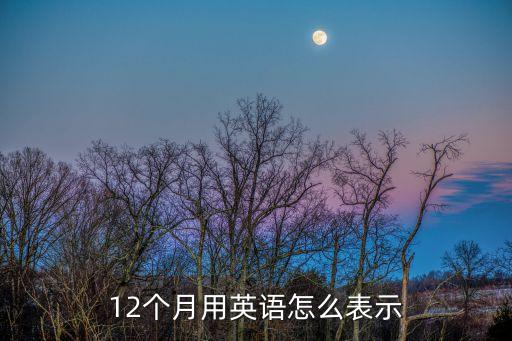 12個(gè)月用英語(yǔ)怎么表示