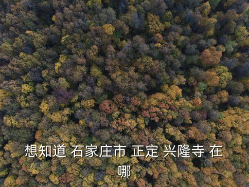 正定隆興寺，正定隆興寺怎么樣