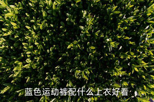 藍色運動褲配什么上衣好看