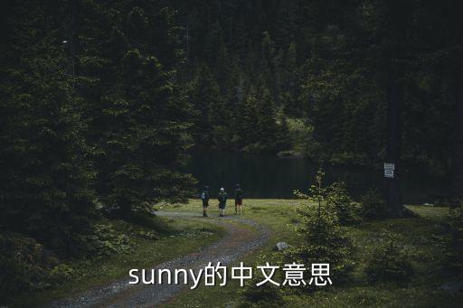 sunny的中文意思