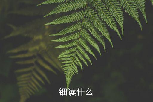 鈿讀什么