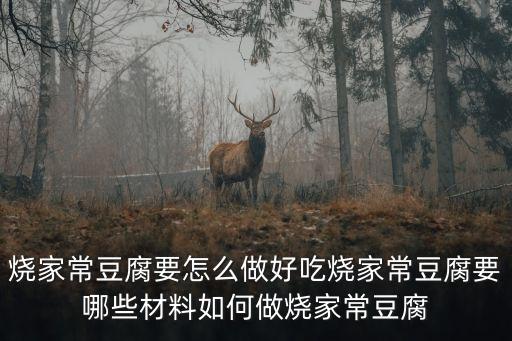家常燒豆腐，燒家常豆腐要怎么做好吃燒家常豆腐要哪些材料如何做燒家常豆腐