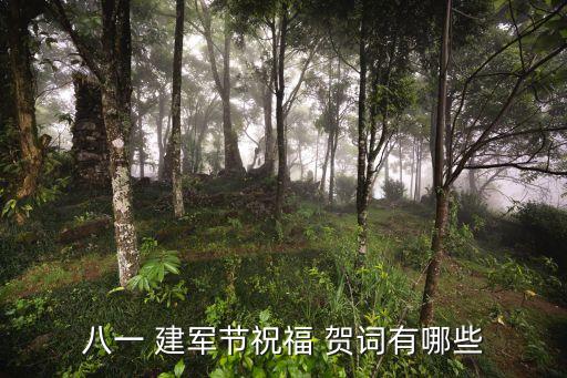 建軍節賀詞,八一紅旗手的祝福