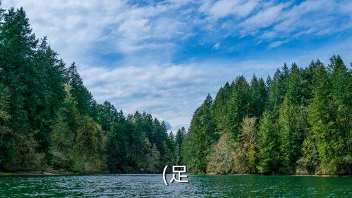 足字開(kāi)頭的成語(yǔ),豐衣足食,足不出戶四個(gè)關(guān)鍵詞解釋