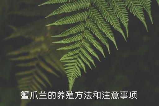 蟹腳蘭,蟹爪蘭日常養(yǎng)護(hù)要保證環(huán)境良好通風(fēng)減少滋生病蟲(chóng)害機(jī)會(huì)