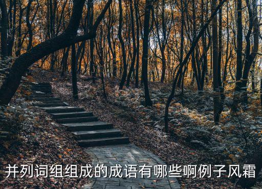 并列詞組組成的成語有哪些啊例子風霜