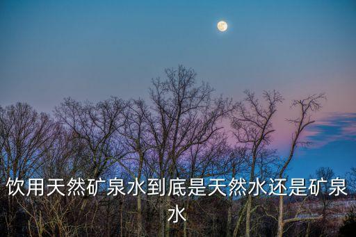 飲用天然礦泉水到底是天然水還是礦泉水