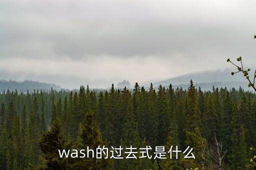 wash過去式，wash的過去式是什么