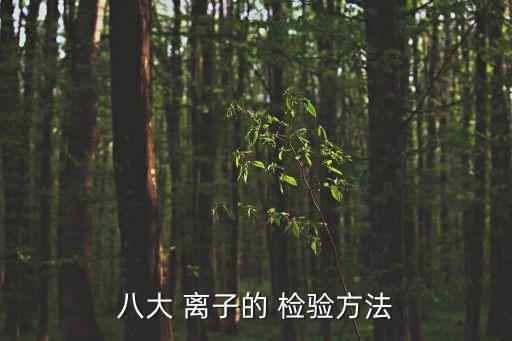 八大 離子的 檢驗方法