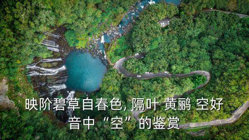 隔葉黃鸝空好音,以春草染臺(tái)階隔葉黃鸝空好音