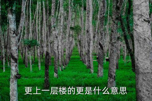 更的意思,更上一層樓，看得更遠一千里