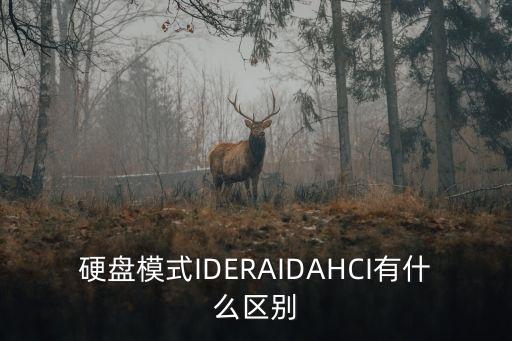 硬盤模式IDERAIDAHCI有什么區(qū)別