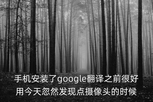 谷歌翻譯打不開(kāi)，手機(jī)安裝了google翻譯之前很好用今天忽然發(fā)現(xiàn)點(diǎn)攝像頭的時(shí)候